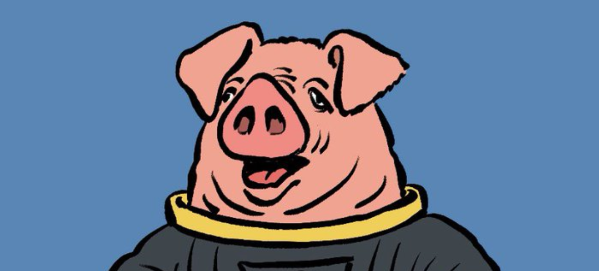 Pigs with Wings: Hohol Pilot Crashes Long-Awaited F-16, Pilot Error Blamed